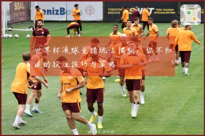 世界杯滚球竞猜玩法揭秘，你不知道的投注技巧与策略
