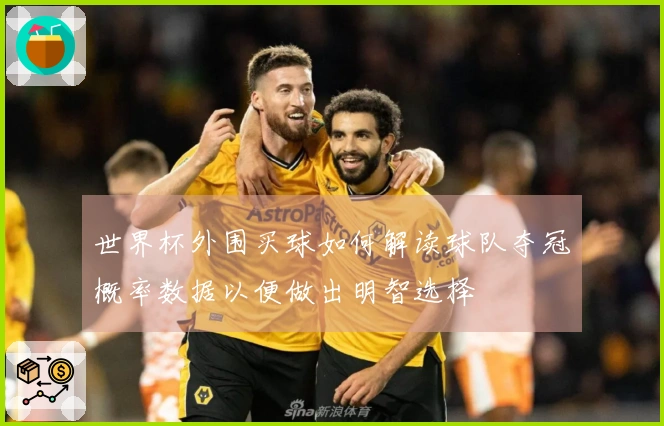 世界杯外围买球如何解读球队夺冠概率数据以便做出明智选择