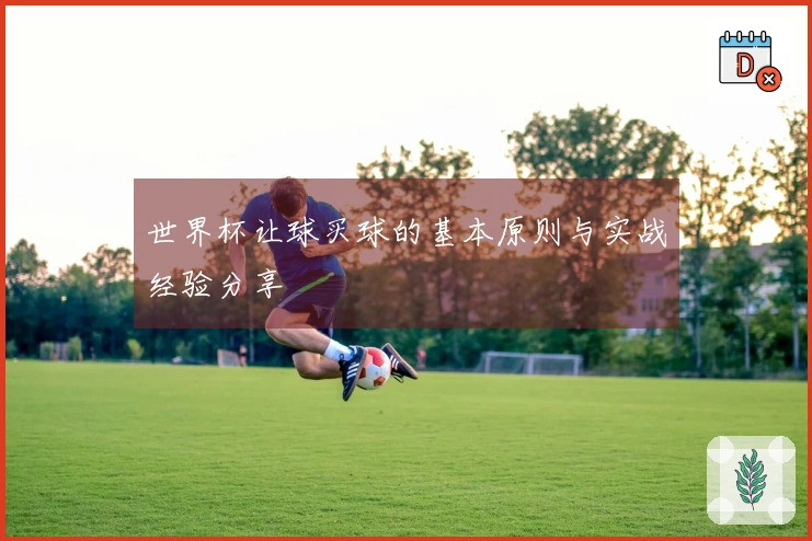 世界杯让球买球的基本原则与实战经验分享