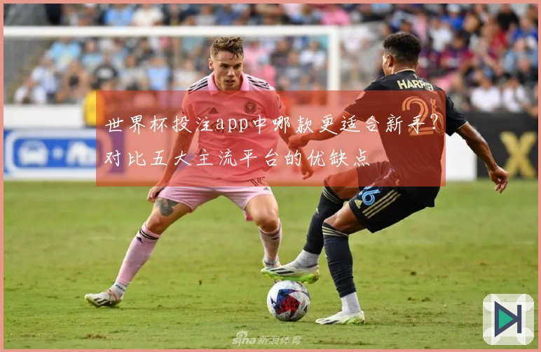 世界杯投注app中哪款更适合新手？对比五大主流平台的优缺点