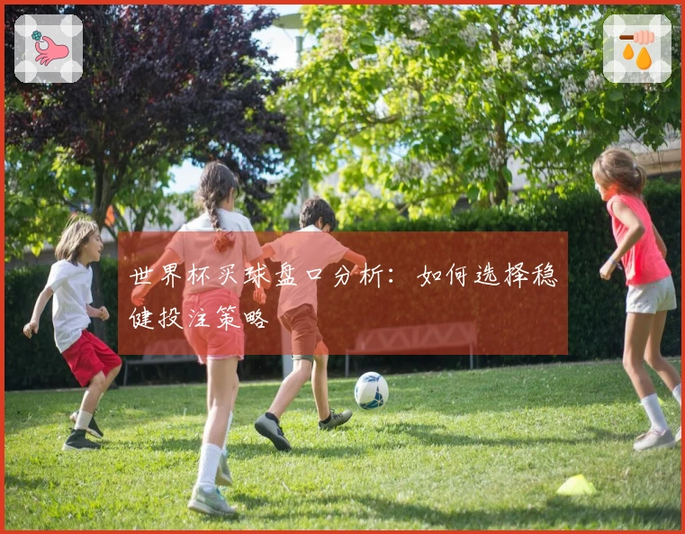 世界杯买球盘口分析：如何选择稳健投注策略