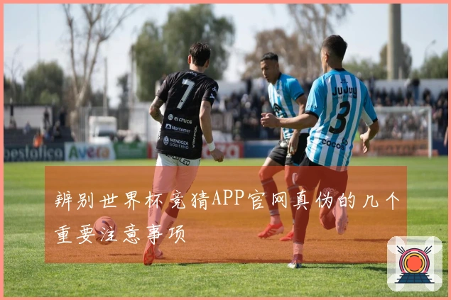 辨别世界杯竞猜APP官网真伪的几个重要注意事项