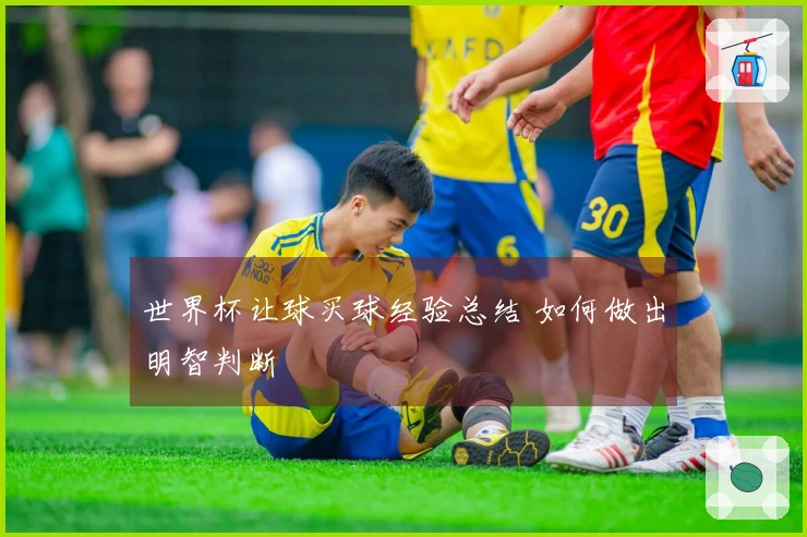 世界杯让球买球经验总结 如何做出明智判断