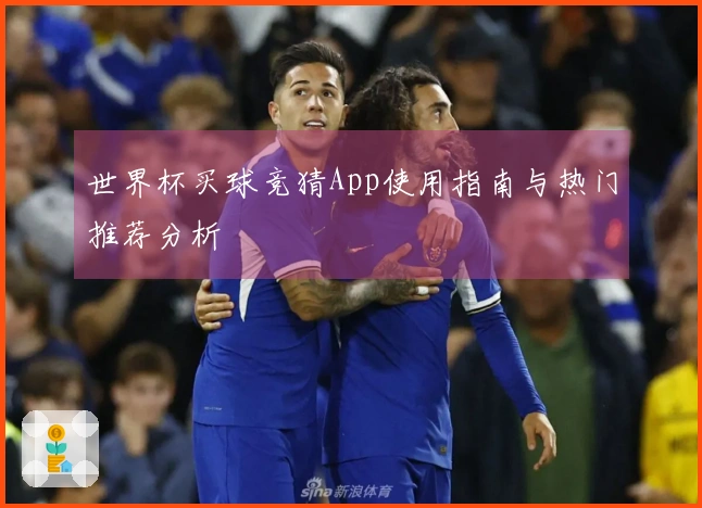 世界杯买球竞猜App使用指南与热门推荐分析