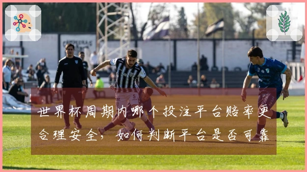 世界杯周期内哪个投注平台赔率更合理安全，如何判断平台是否可靠