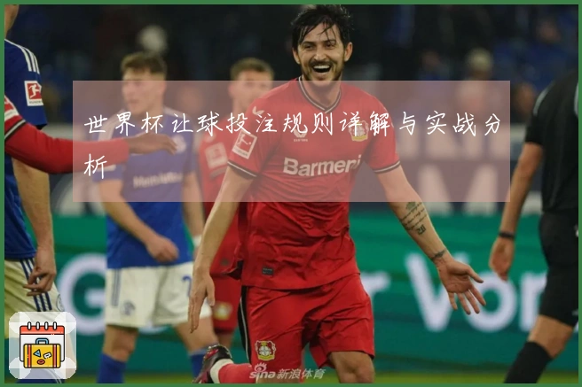世界杯让球投注规则详解与实战分析