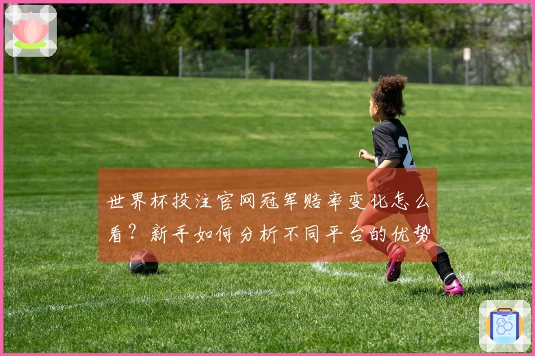 世界杯投注官网冠军赔率变化怎么看？新手如何分析不同平台的优势与风险