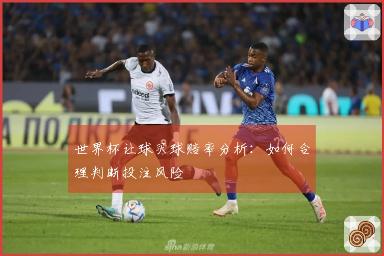 世界杯让球买球赔率分析:如何合理判断投注风险