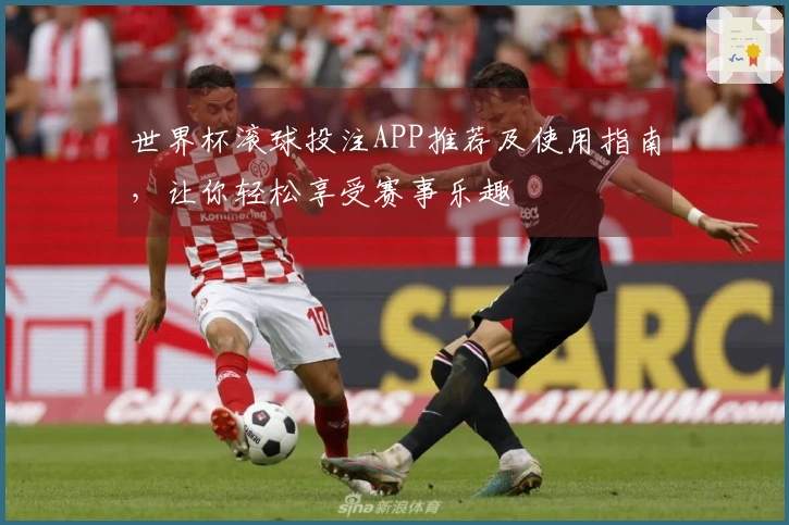 世界杯滚球投注APP推荐及使用指南，让你轻松享受赛事乐趣