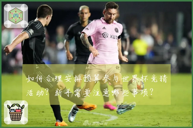 如何合理安排预算参与世界杯竞猜活动？新手需要注意哪些事项？
