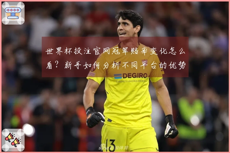 世界杯投注官网冠军赔率变化怎么看？新手如何分析不同平台的优势与风险