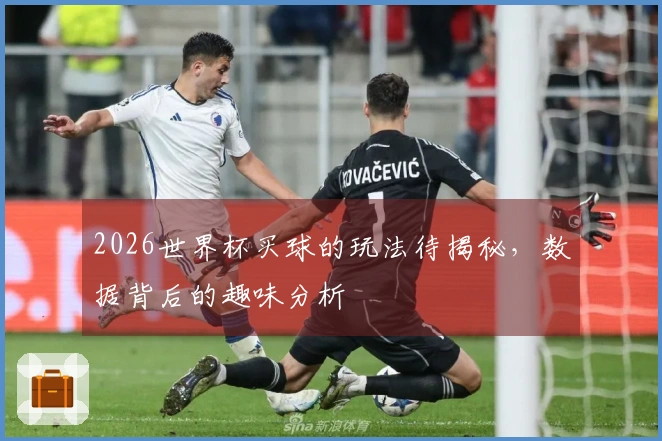 2026世界杯买球的玩法待揭秘，数据背后的趣味分析
