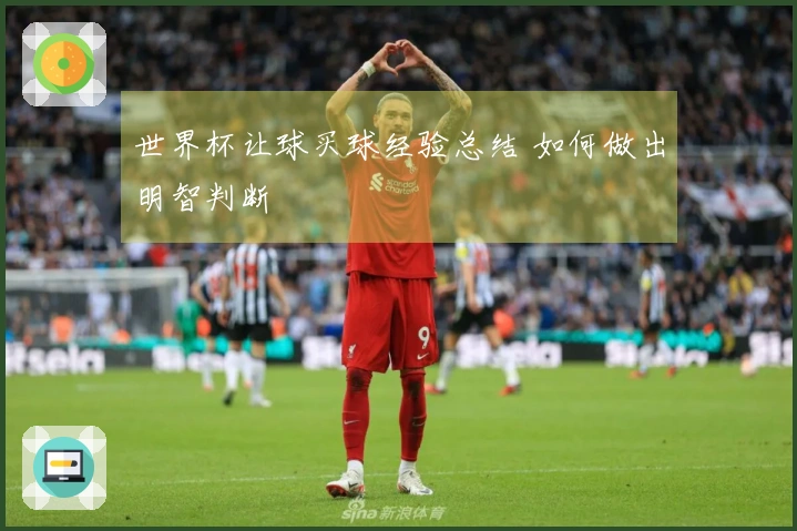 世界杯让球买球经验总结 如何做出明智判断