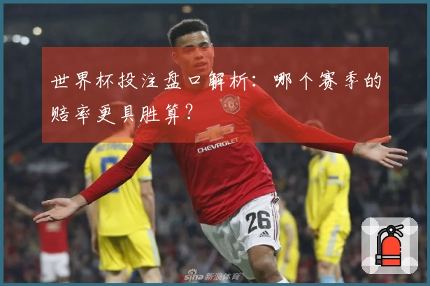 世界杯投注盘口解析：哪个赛季的赔率更具胜算？