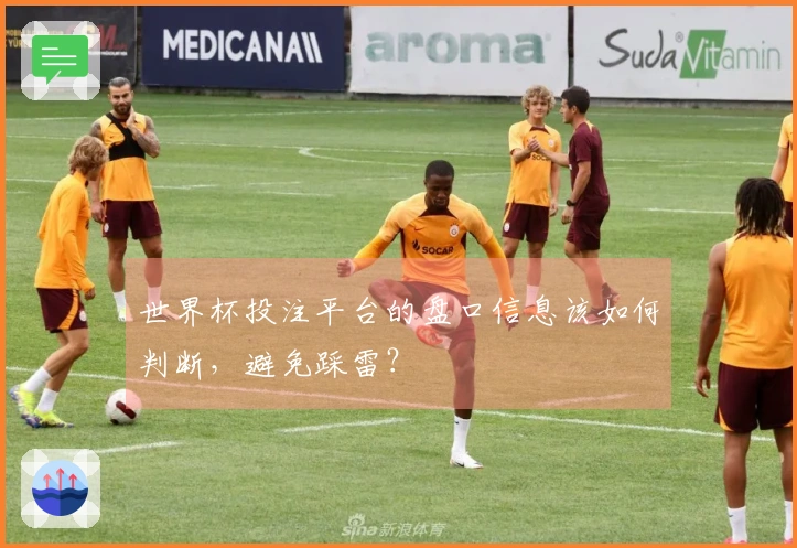 世界杯投注平台的盘口信息该如何判断，避免踩雷？