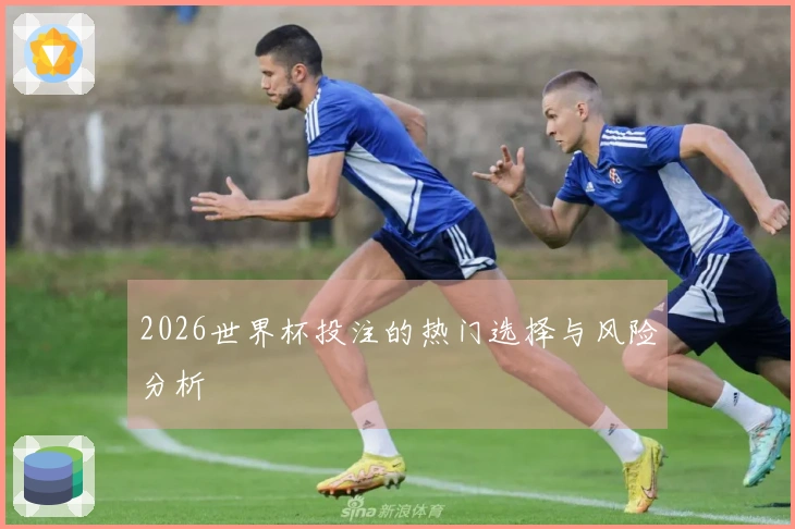 2026世界杯投注的热门选择与风险分析