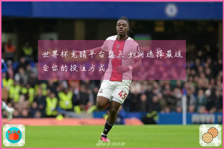 世界杯竞猜平台盘点 如何选择最适合你的投注方式
