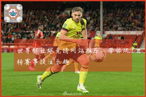世界杯让球竞猜网站推荐，带你玩转赛事投注乐趣