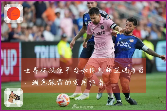 世界杯投注平台如何判断正规与否，避免踩雷的实用指南