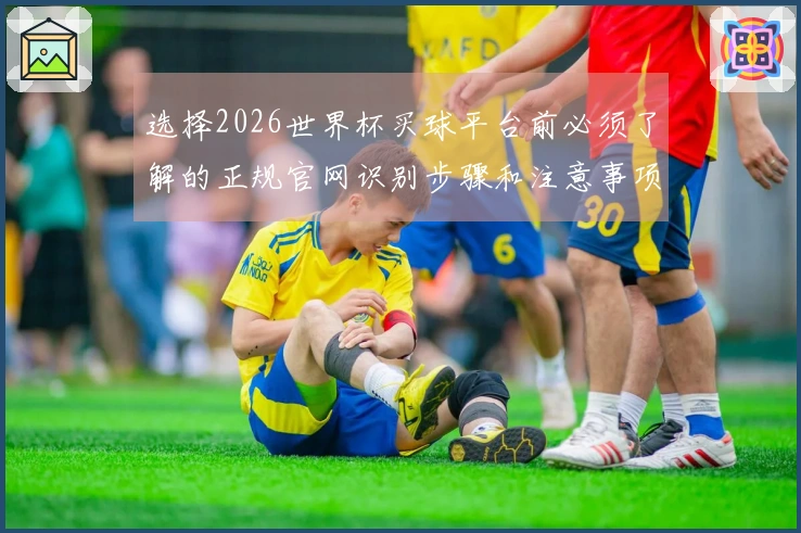 选择2026世界杯买球平台前必须了解的正规官网识别步骤和注意事项