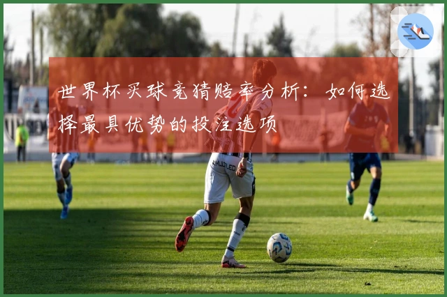 世界杯买球竞猜赔率分析：如何选择最具优势的投注选项