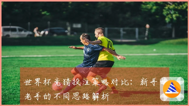 世界杯竞猜投注策略对比：新手与老手的不同思路解析