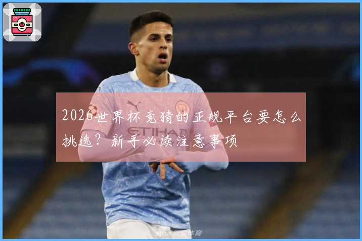 2026世界杯竞猜的正规平台要怎么挑选？新手必读注意事项