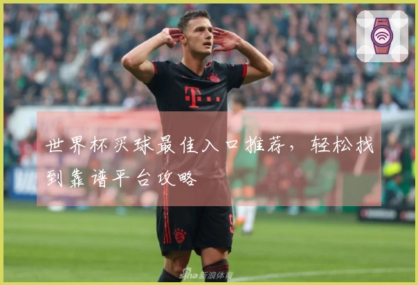 世界杯买球最佳入口推荐，轻松找到靠谱平台攻略