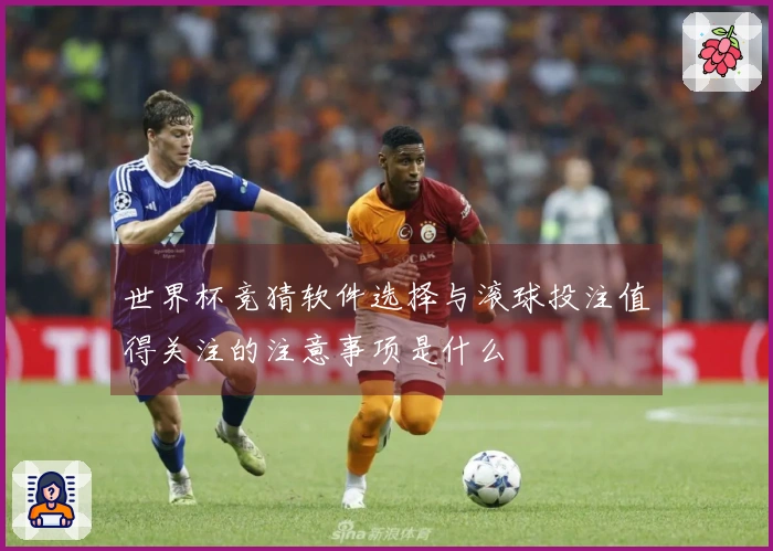 世界杯竞猜软件选择与滚球投注值得关注的注意事项是什么