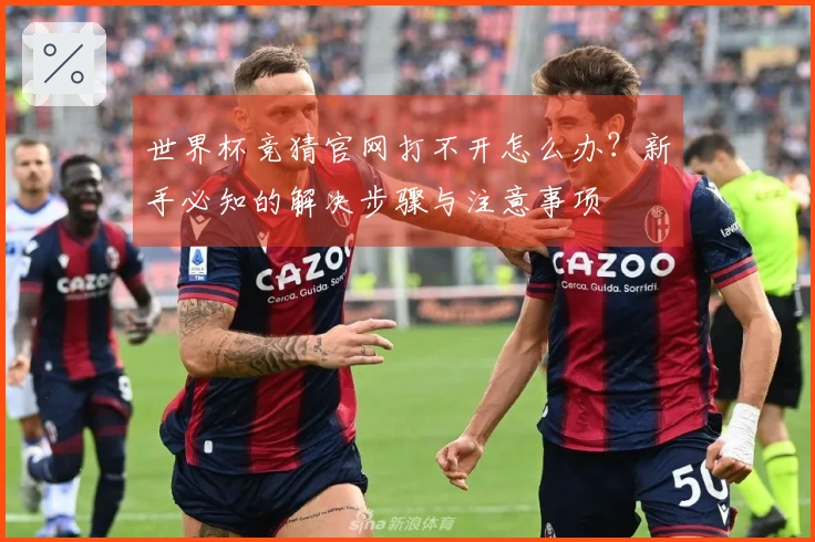 世界杯竞猜官网打不开怎么办？新手必知的解决步骤与注意事项