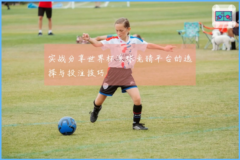 实战分享世界杯滚球竞猜平台的选择与投注技巧